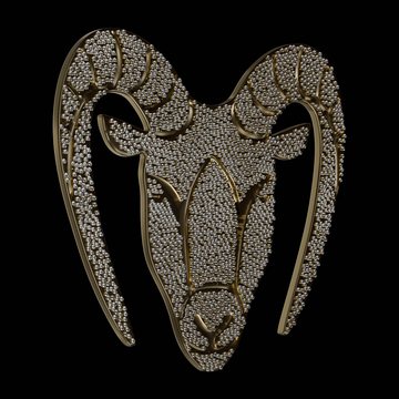 capricorn